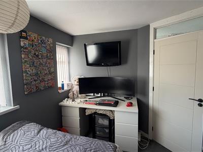 Picture 24